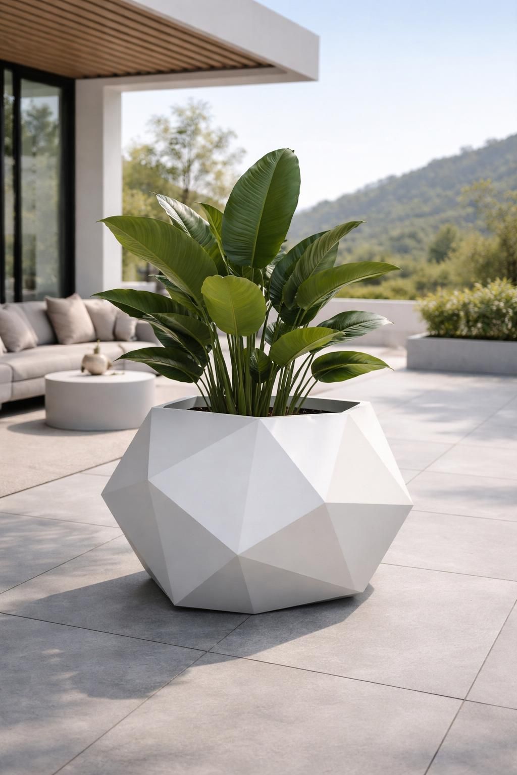 explorez notre collection de pots de fleurs au design innovant et élégant, parfaits pour sublimer votre décoration intérieure et extérieure.