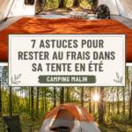 Tente de camping installée dans un endroit ombragé pour rester au frais durant l'été.