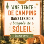 Tente de camping installée dans une forêt ensoleillée avec des arbres entourants.