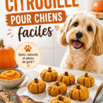 Un chien heureux dégustant une friandise à la citrouille faite maison.