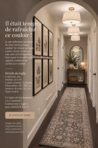 Un tapis stylé dans un couloir accueillant et bien décoré.