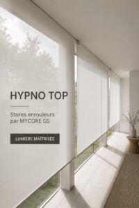 Salon avec des stores enrouleurs élégants qui ajoutent une touche moderne à la décoration.