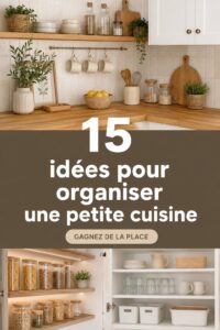 Une petite cuisine bien organisée avec des rangements astucieux et une décoration chaleureuse.